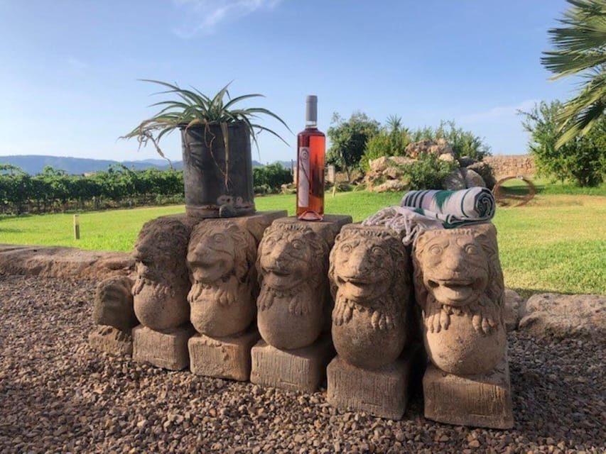 Mallorca: Bodega Butxet Vineyards & Winery Tour with Tasting - What to Expect from the Bodega Butxet Tour