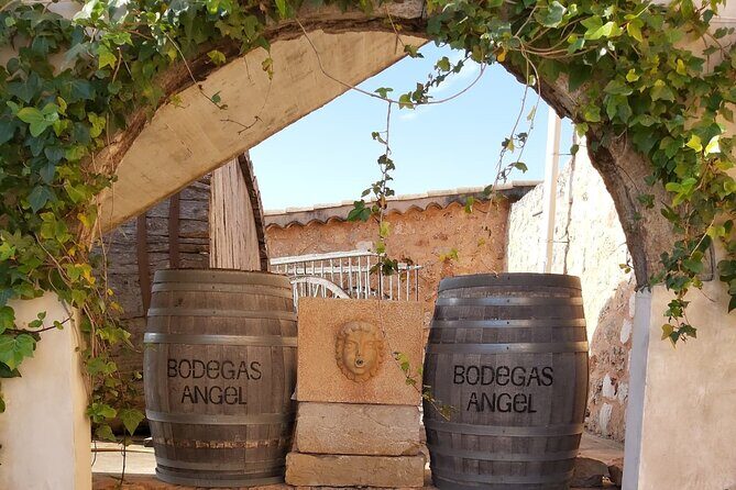 Mallorca Bodega & Olive Minibus Tour incl. Pick-up South Coast - Practical Details to Keep in Mind