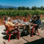 Mallorca: Bodegas Ángel Winery Tour with Wine Tasting - The Experience and Connectivity