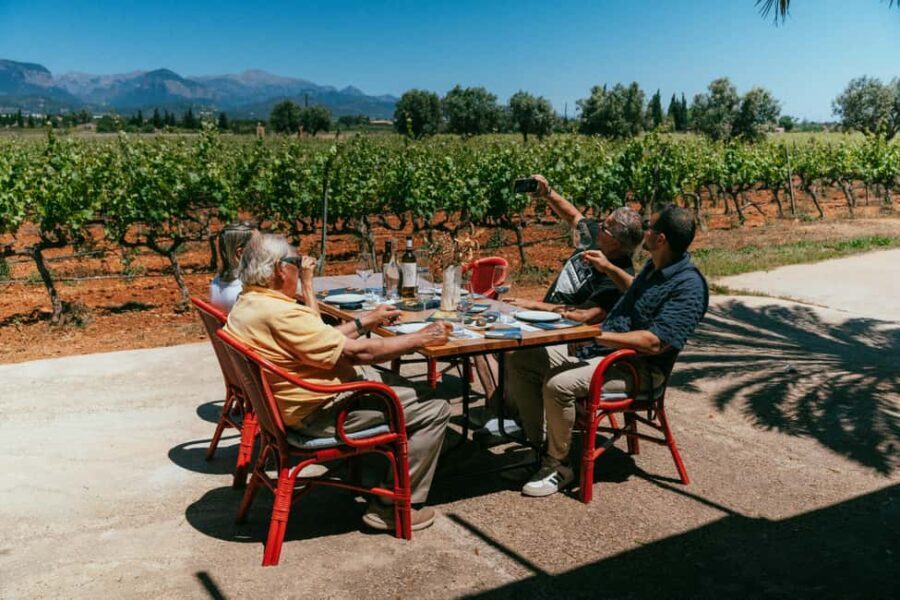 Mallorca: Bodegas Ángel Winery Tour with Wine Tasting - The Experience and Connectivity