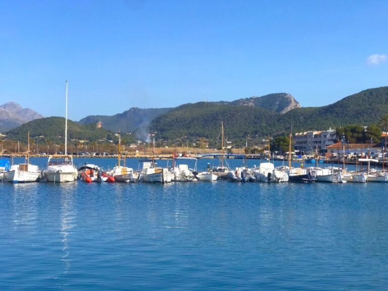 Mallorca: Coastal Cruise to Port of Andratx with swim stop - The Highlights: Swimming and Snorkeling