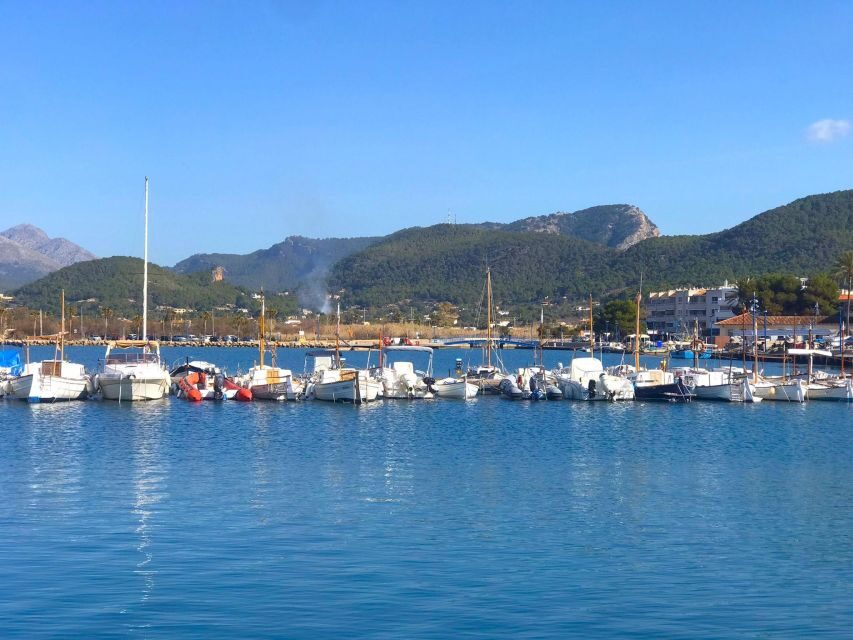 Mallorca: Coastal Cruise to Port of Andratx with swim stop - The Highlights: Swimming and Snorkeling