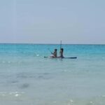 Mallorca: Es Trenc Beach Visit with Guide - The Sum Up: Who Should Consider This Tour?