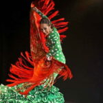 Mallorca: Flamenco Show at Tablao Flamenco Alma with Paella - Who Should Consider This Experience?