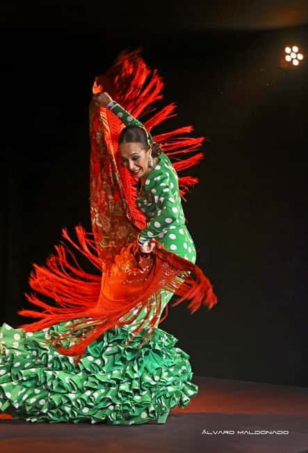 Mallorca: Flamenco Show at Tablao Flamenco Alma with Paella - Who Should Consider This Experience?