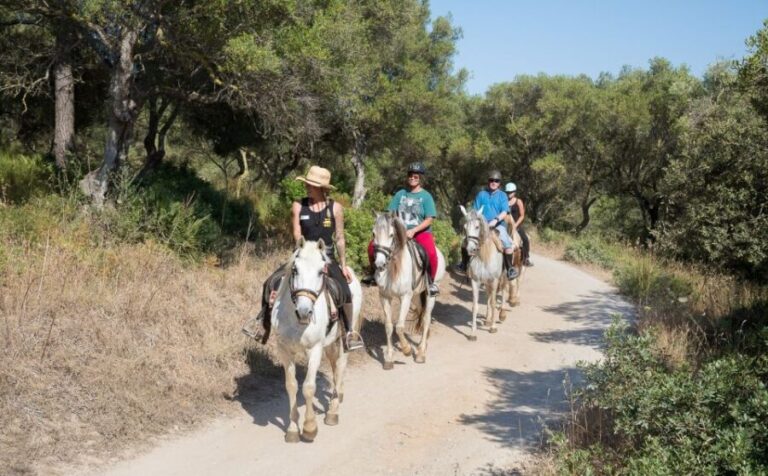 Mallorca: Horseback Riding Excursion and Wine Tasting - Exploring the Mallorca Horseback and Wine Tour