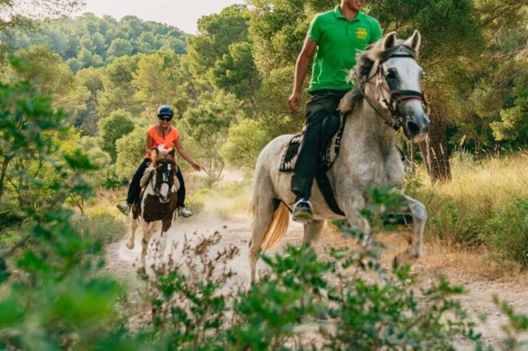Mallorca: Horseback Riding Experience with Food Options - What People Love and What Could Be Better