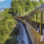 Mallorca Island Tour with Boat, Train, Tram and Bus - What’s Included and What to Expect