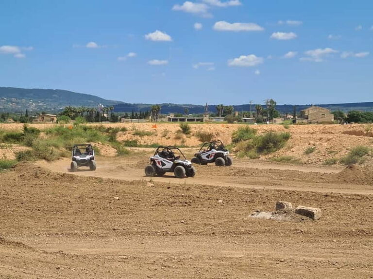 Mallorca Kids Buggy - The Driving Experience — What to Expect