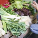 Mallorca: Market Visit and Traditional Cooking Workshop - Starting at Mercado de LOlivar: The Heart of Mallorcan Food Culture