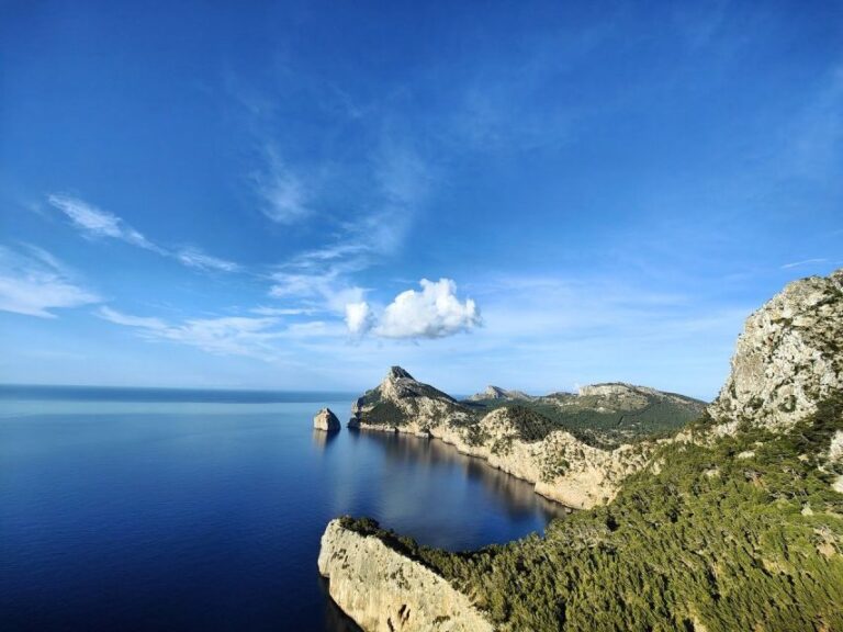 Mallorca: Premium Wine Experience, Tasting and Fine Foods - Who Would Love This Tour?