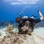 Mallorca PRIVATE Reservation*Scuba dive + photo/video - Is it Worth the Price?