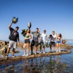 Mallorca: Quad Tour to the top of the mountain & swim - Authentic Traveler Insights