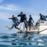 Mallorca: Scuba Dive Adventure Cap Formentor 2 Dive Sites (License Only) - Who Should Consider This Tour?