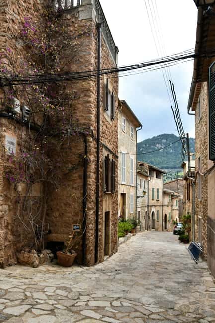 Mallorca Shore Excursion to Soller, Valldemossa and Deia - Who Will Love This Tour?