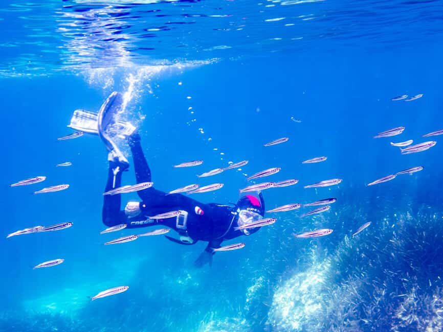 Mallorca: Snorkeling tour with diving instructor from a boat - Cap de Formentor - The Itinerary Breakdown