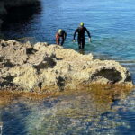 Mallorca: Speleo-Coasteering Tour along the Coast of Alcudia - The Daily Itinerary
