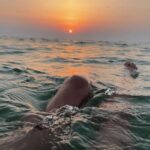 Mallorca: Sunset Pizza Boat Tour Andratx - Dragonera + Snorkel - Who Will Love This Tour?