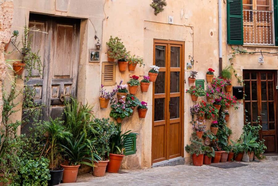 Mallorca: Valldemossa Tour and Tasting at Macià Batle - Small Group Tour - Digging Into the Details: What Makes This Tour Work