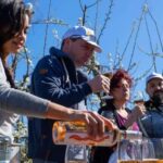 Mallorcas Emblematic Wineries Small Group Tour, two wineries - What’s Included and What’s Not