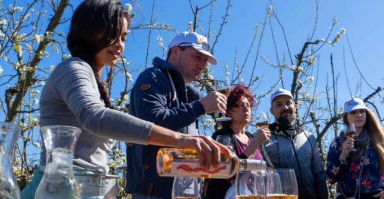 Mallorcas Emblematic Wineries Small Group Tour, two wineries - What’s Included and What’s Not