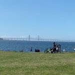 Malmö: 3-Hour Guided Walking Tour - Whats Included and Whats Not