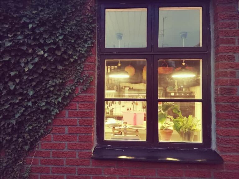 Malmö: Korean Dumplings Cooking Class with Chef So-Young - What Makes This Class Special