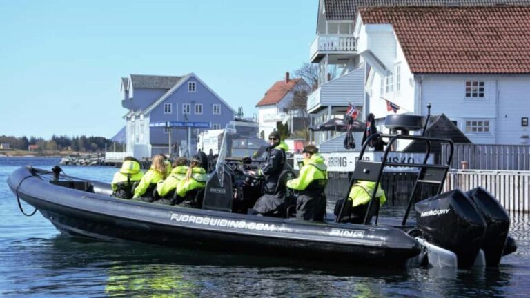 Måløy: RIB Boat Safari - The Stops: Highlights of the Tour