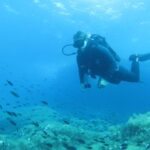 Malta: 2 Scuba Fun Dives for Certified divers - What Does the Experience Feel Like?