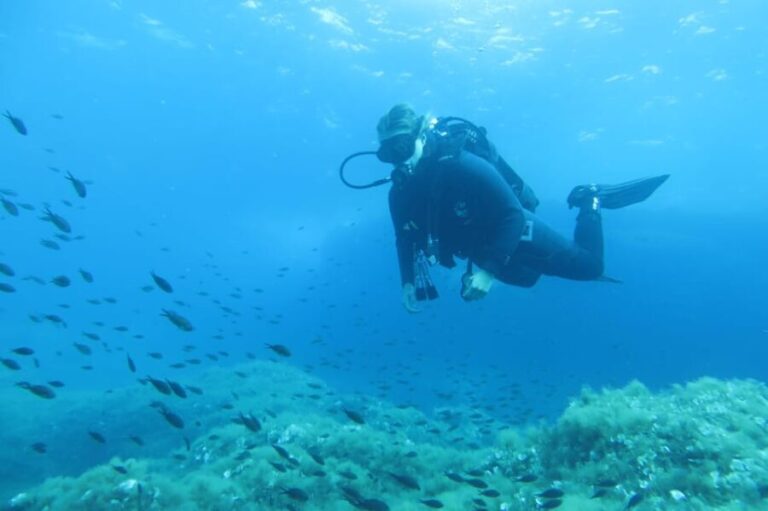 Malta: 2 Scuba Fun Dives for Certified divers - What Does the Experience Feel Like?