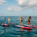 Malta: Paddleboarding Experience at Sun and Fun Water Sports - Detailed Breakdown of the Itinerary