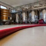 Mamoiada: visit a winery with wine tasting - A Closer Look at the Winery Tour