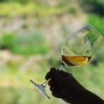 Manarola: Cinque Terre Wine Tasting - The Wines and Their Significance