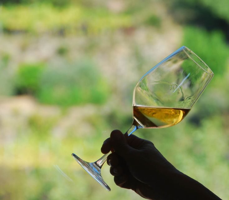 Manarola: Cinque Terre Wine Tasting - The Wines and Their Significance