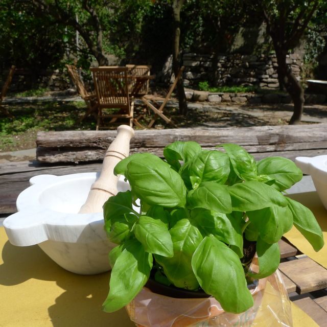 Manarola: Pesto Making Class with Tasting and Wine - Practical Details and Tips