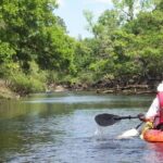 Manatee and Dolphin Kayaking Encounter - Who Should Consider This Tour?