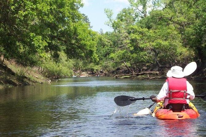 Manatee and Dolphin Kayaking Encounter - Who Should Consider This Tour?