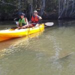 Manatee and Dolphin Kayaking | Wildlife Refuge (Titusville) - Who Would Love This Tour?
