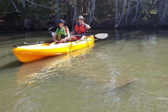 Manatee and Dolphin Kayaking | Wildlife Refuge (Titusville) - Who Would Love This Tour?