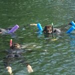 Manatee Swim and Wildlife Park with Upgrade Options from Orlando - Who Will Love This Tour?