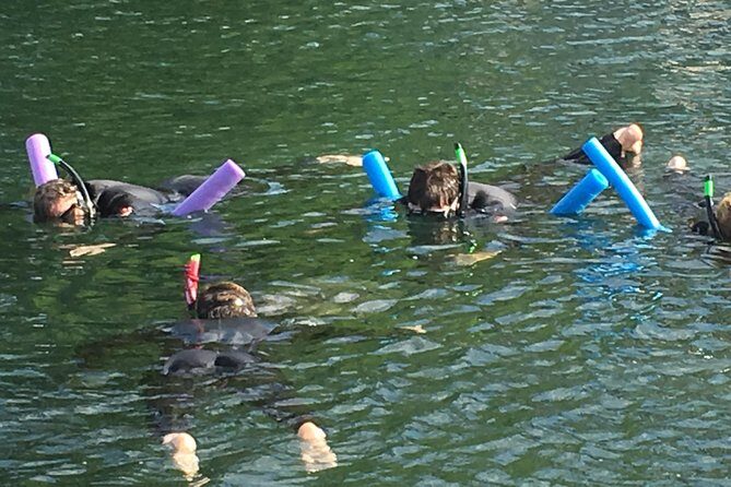 Manatee Swim and Wildlife Park with Upgrade Options from Orlando - Who Will Love This Tour?