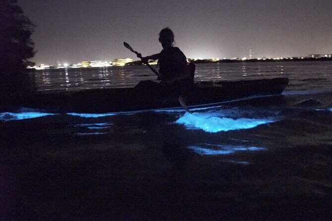 Manatees/Sunset/Bioluminescence Tour - The Experience in Detail