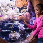 Manchester: SEA LIFE Entrance Ticket - Final Thoughts