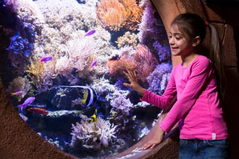 Manchester: SEA LIFE Entrance Ticket - Final Thoughts