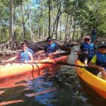 Mangrove Jungle Exploration on SUP/Kayak - Who is This Tour Best For?