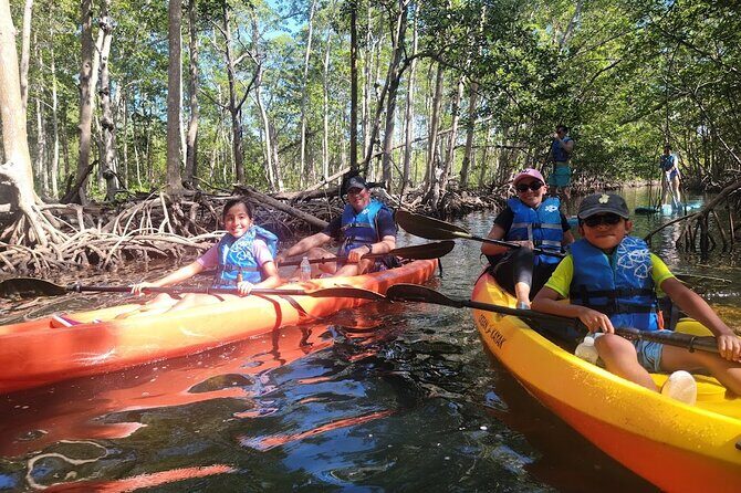 Mangrove Jungle Exploration on SUP/Kayak - Who is This Tour Best For?