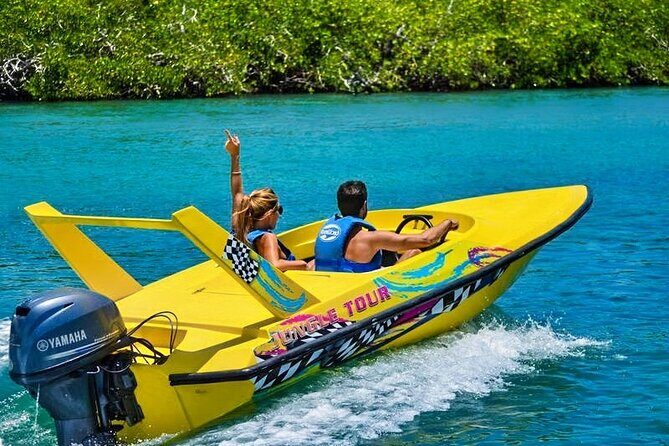Mangrove Jungle Speedboat Experience - Who Would Love This?