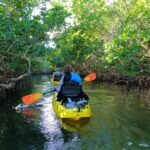 Mangrove Tunnel Kayak Adventure in Key Largo - Who Is This Tour Best For?