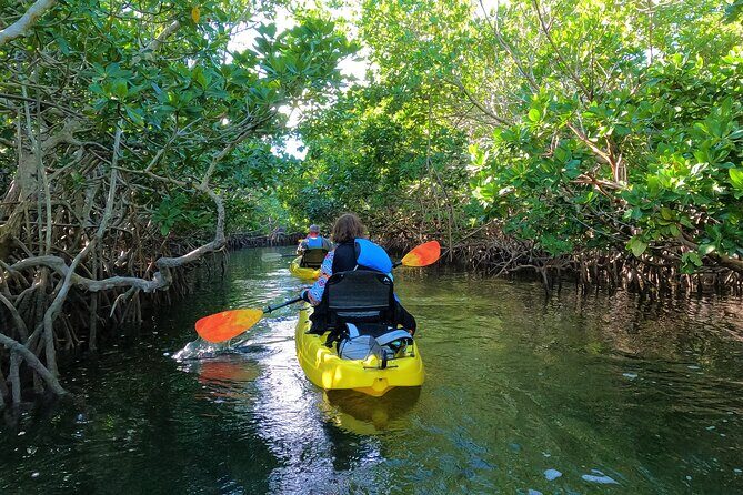 Mangrove Tunnel Kayak Adventure in Key Largo - Who Is This Tour Best For?