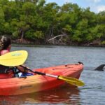 Mangrove Tunnels Kayak Tour (Photographer Included)- Marco Island - The Itinerary in Detail